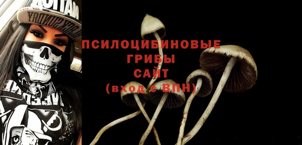 гашиш Каменка